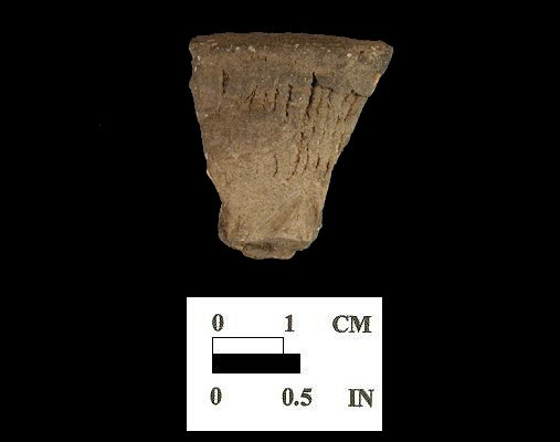 Cord-marked Monongahela rim sherd from the Sang Run site 18GA22-2.